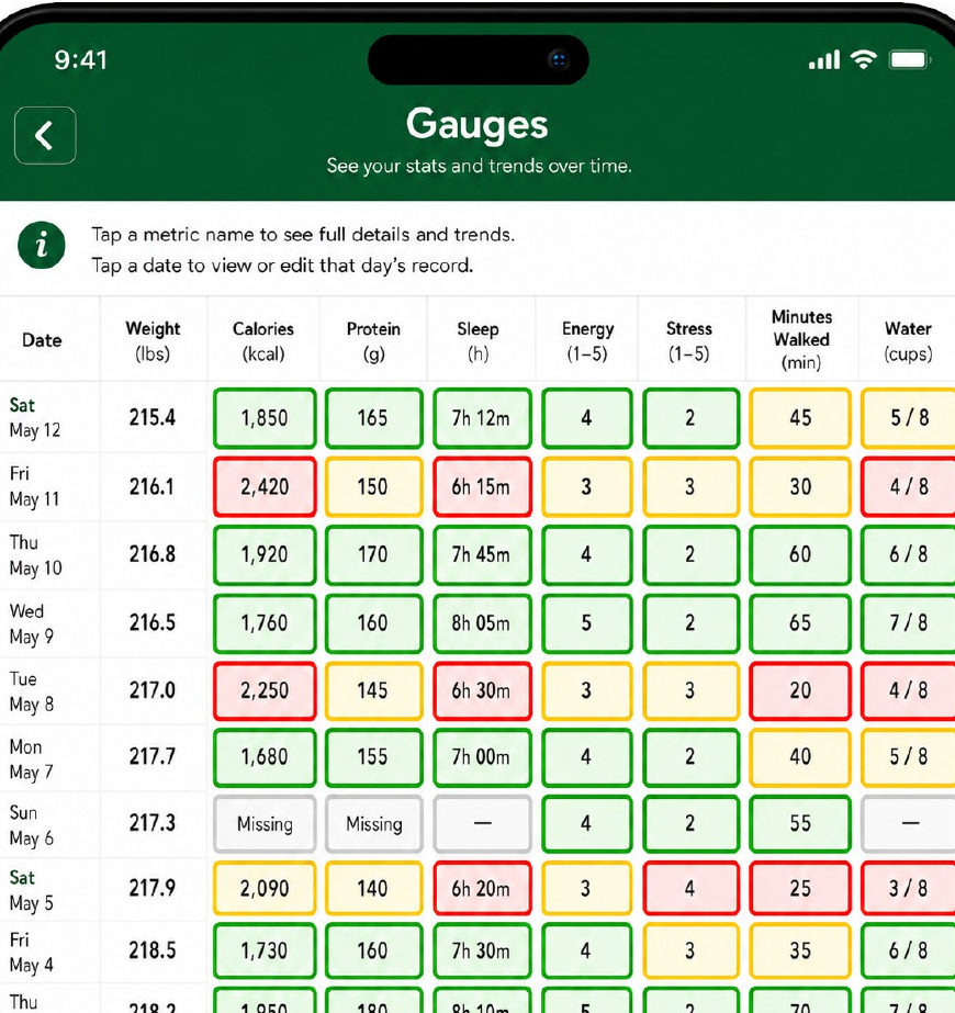 Gauges and history mockup